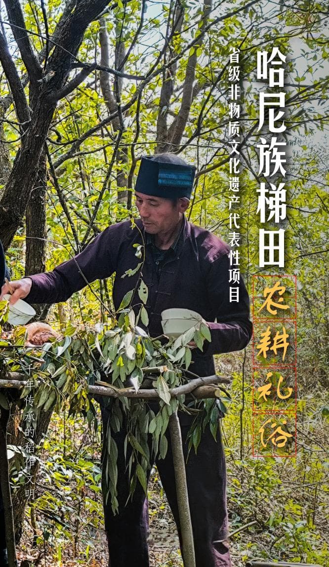 哈尼族梯田农耕礼俗：千年传承的稻作文明