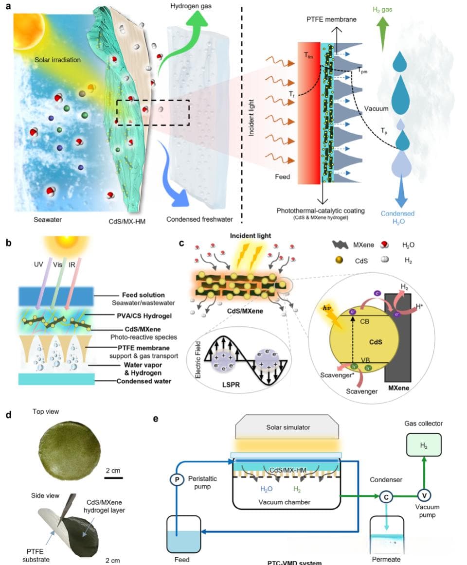 香港科技大学《AFM》：水凝胶基光热-光催化膜蒸馏，淡水与氢能高效联产的新突破