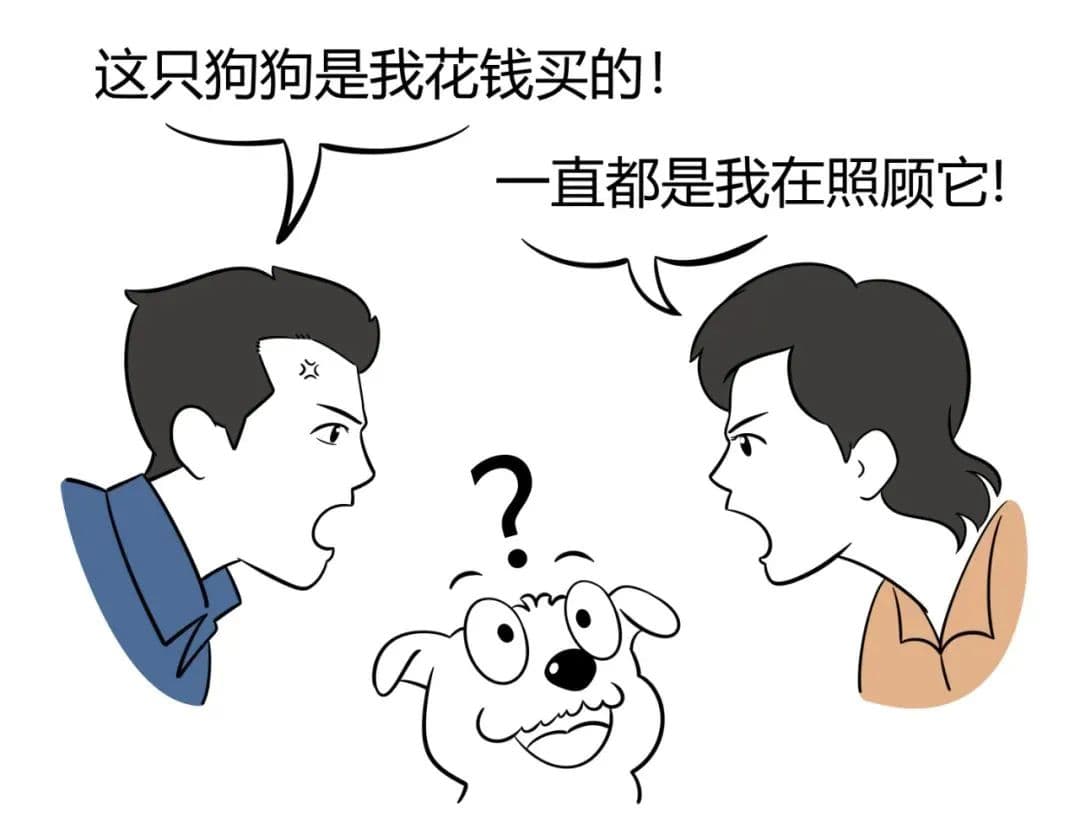 离婚时，宠物与自媒体账号等财产的归属权如何判定？