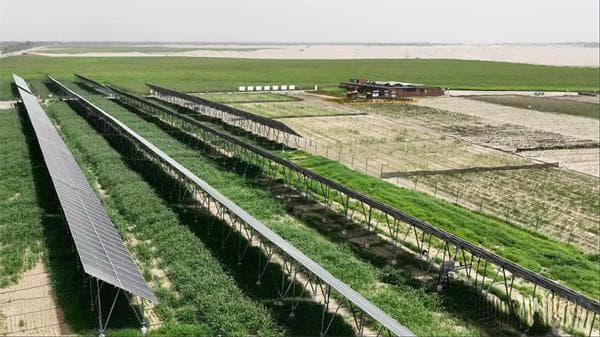 防风措施：多领域实践案例与政策解读