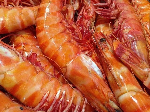 清蒸虾制作详解：六步打造鲜美口感