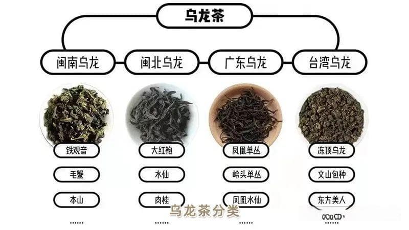 乌龙茶和红茶有什么区别？详细比较分析让你一目了然