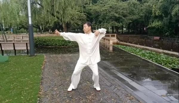 三伏天练习八段锦：从历史渊源到具体实践的全面指南