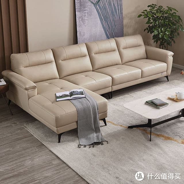 真皮沙发怎么打理才对？