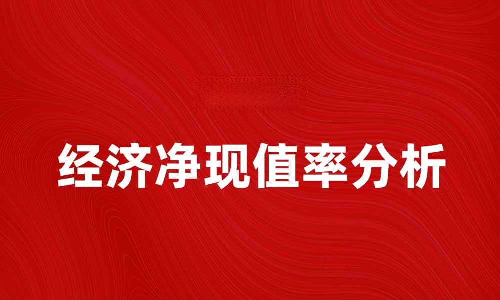 提升投资决策的关键：经济净现值率解析与应用