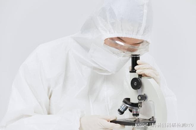 天冬酰胺和谷氨酰胺：两种重要氨基酸的特性与补充指南