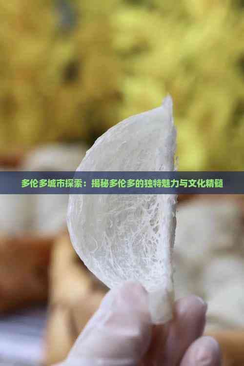 多伦多城市探索：揭秘多伦多的独特魅力与文化精髓