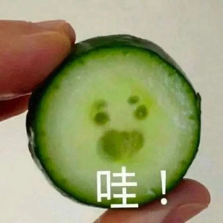 同样与心脏相连，为什么静脉血管感觉不到心脏的跳动？