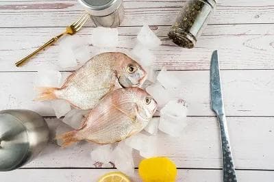 脑供血不足七大有益食物：从食材到保健食品的全面指南