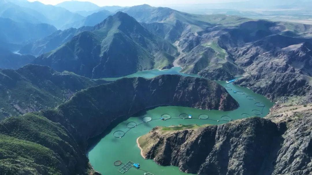 如何用<20℃的天山融水，养好三文鱼