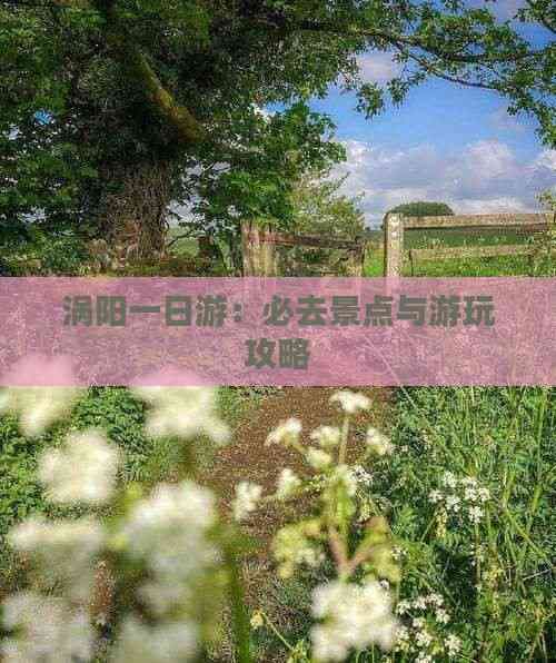 涡阳一日游：必去景点与游玩攻略