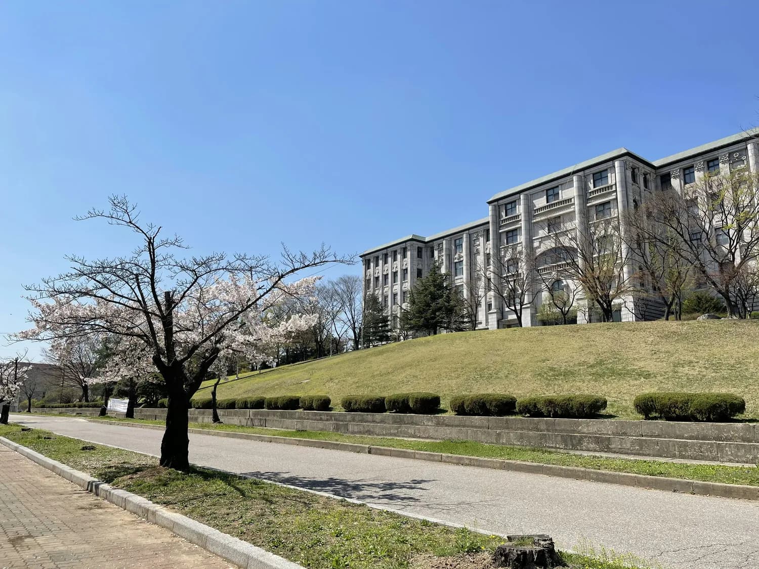 从秋田大学走出的芥川奖得主：南木佳士的医者与作家双重人生