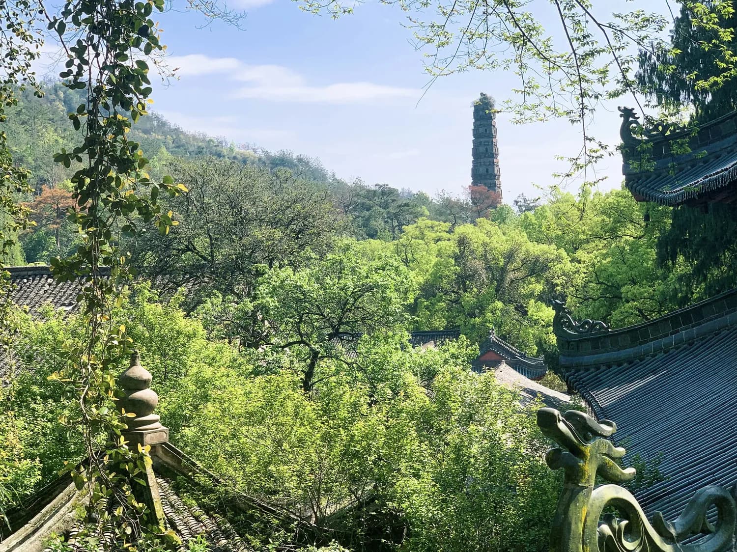 茅山道士手游：道法对决新玩法