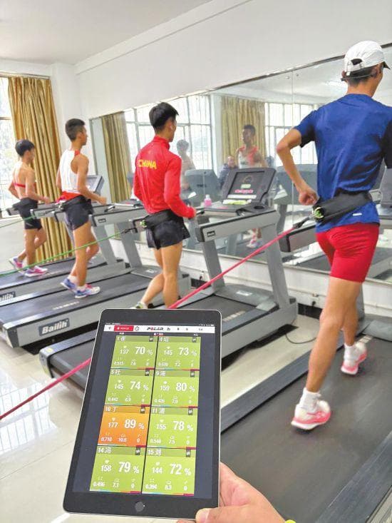 助运动员科学训练备战十五运会