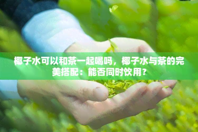 椰子水与茶的完美搭配：能否同时饮用？