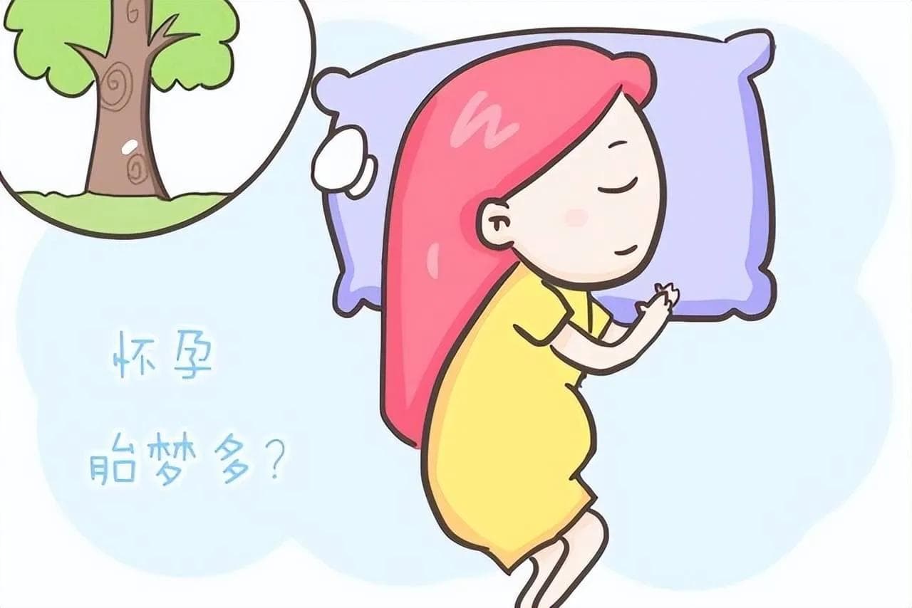 大脑夜游记：揭秘梦的科学与创造价值