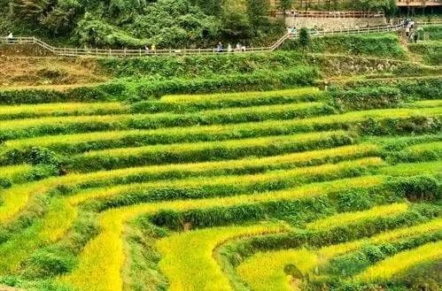宁愿吃土也要带孩子去的十个小众旅游地