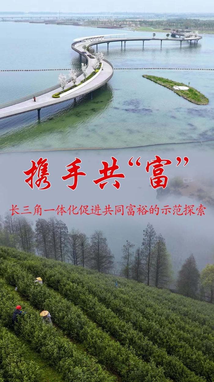 携手共“富”——长三角一体化促进共同富裕的示范探索