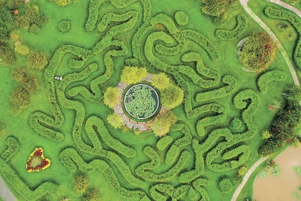 打造研究保护体验功能并重的国家植物园