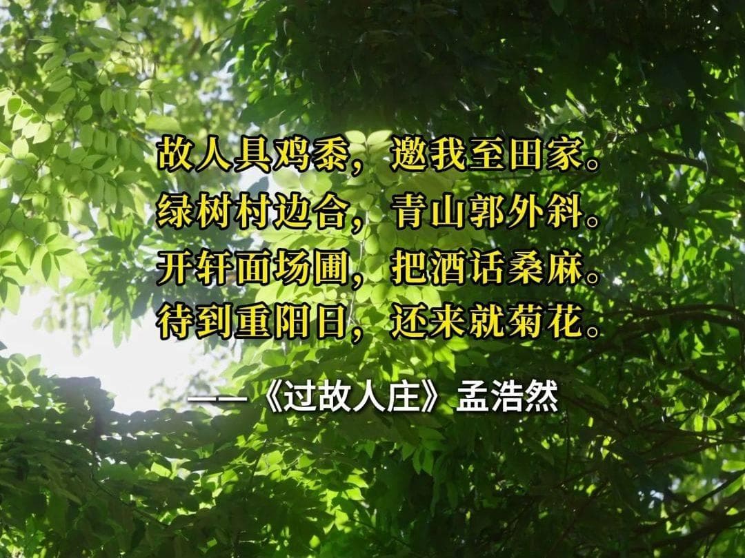 故人庄遗韵：孟浩然古诗之鉴赏与赏析