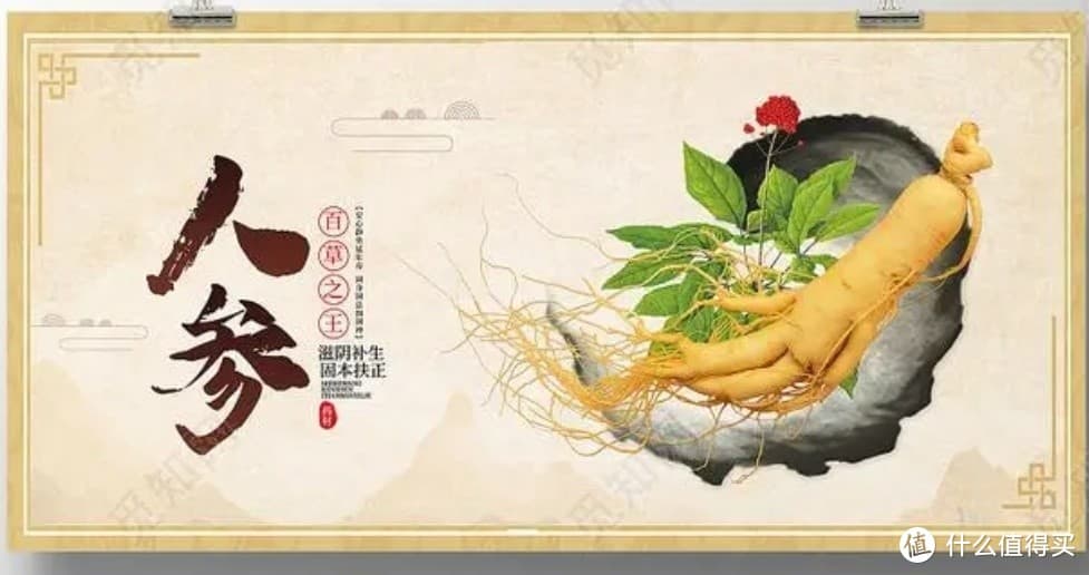 活力之源：中成药提升精力与健康