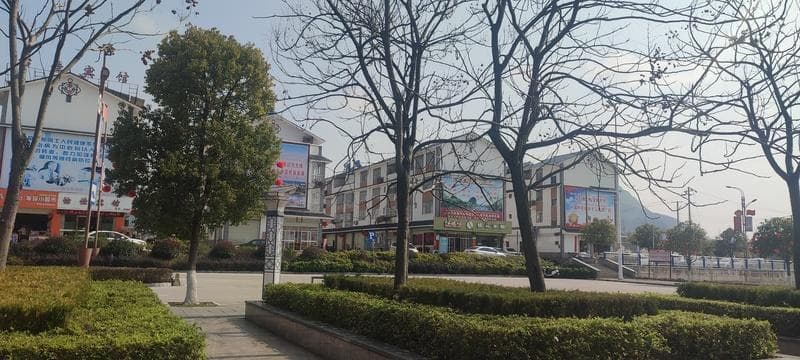 小区绿化面积归业主所有，但需共同共有