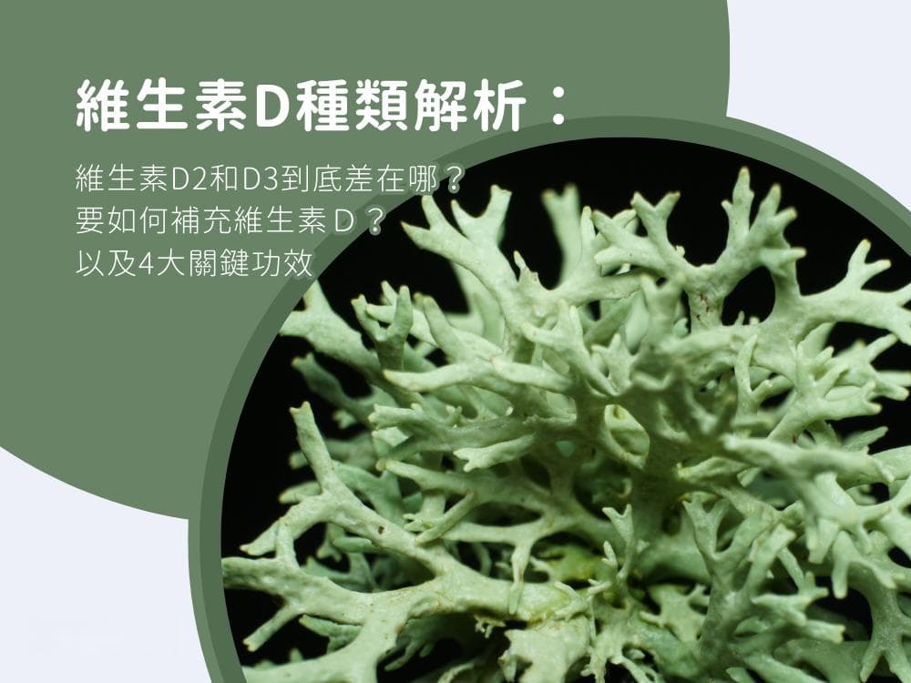 维生素D2和D3的区别：功效解析与补充建议