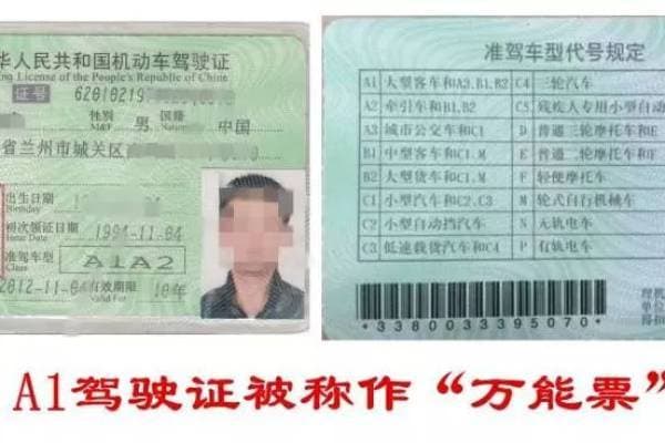 驾驶D证如何考，从入门到精通的全方位指南