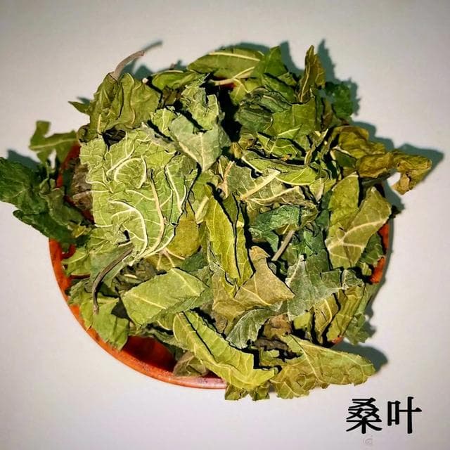 桑树全身是宝，但用对剂量才有效！桑叶、桑枝、桑葚的正确用法