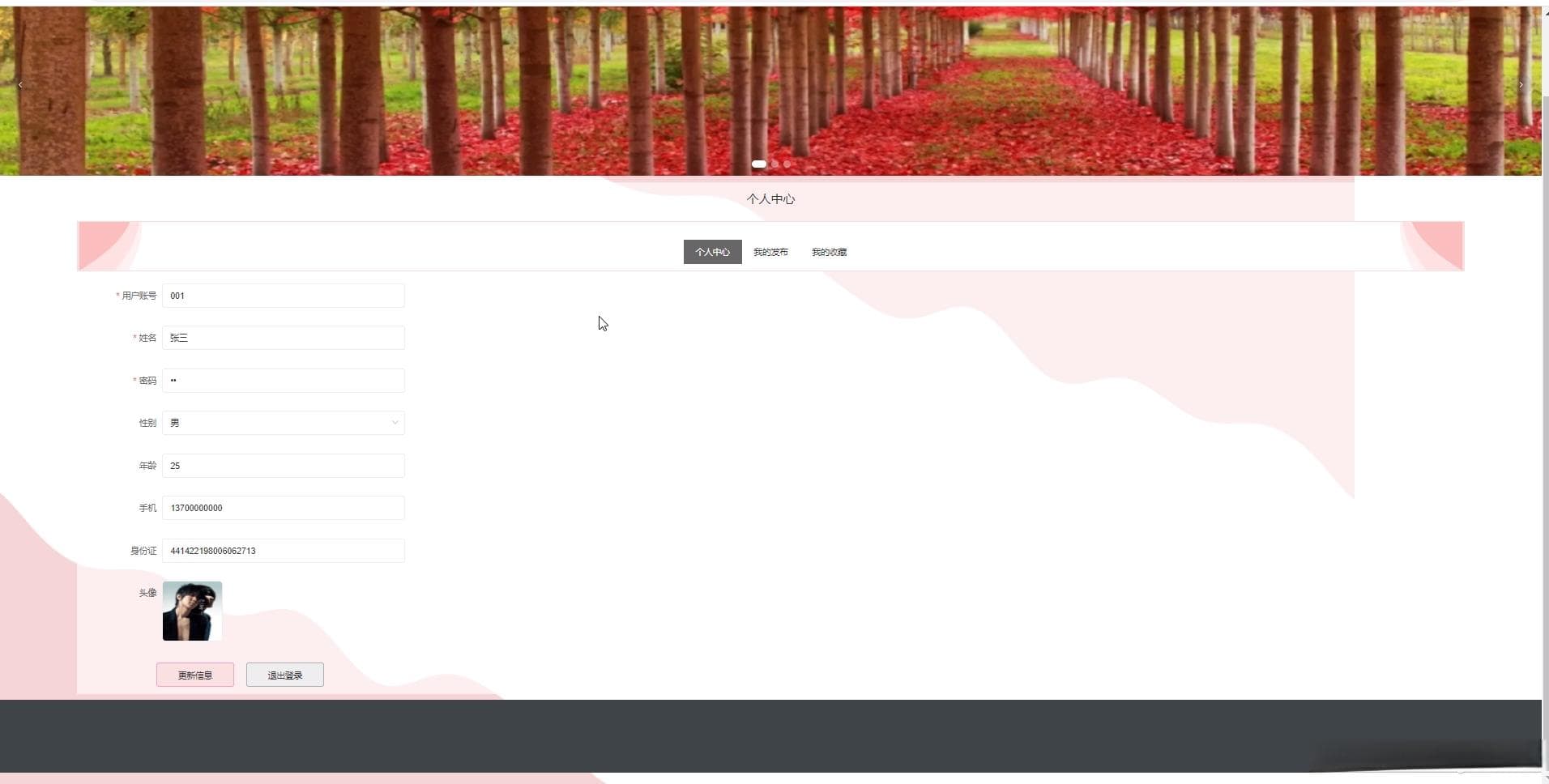 基于Django+Vue的古诗词鉴赏网站开发实践