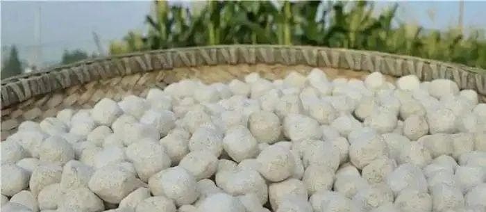 酒曲在白酒酿造中的关键作用与应用技巧
