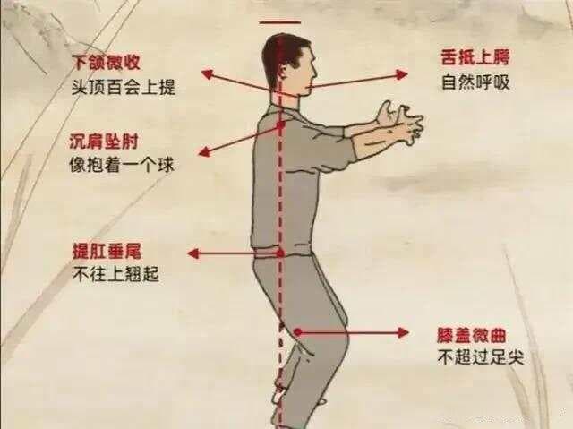 传统武术中的三种桩功：太极桩、无极桩与混元桩详解