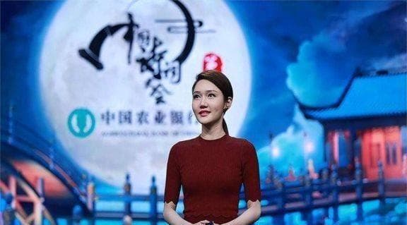 从地方台到央视：龙洋的主持人生
