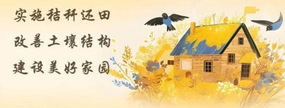 饮酒后开启“自动驾驶” 出了事故算谁的责任？