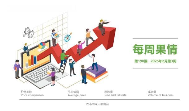 广西水果产业：产量连续六年全国第一，技术创新推动高质量发展