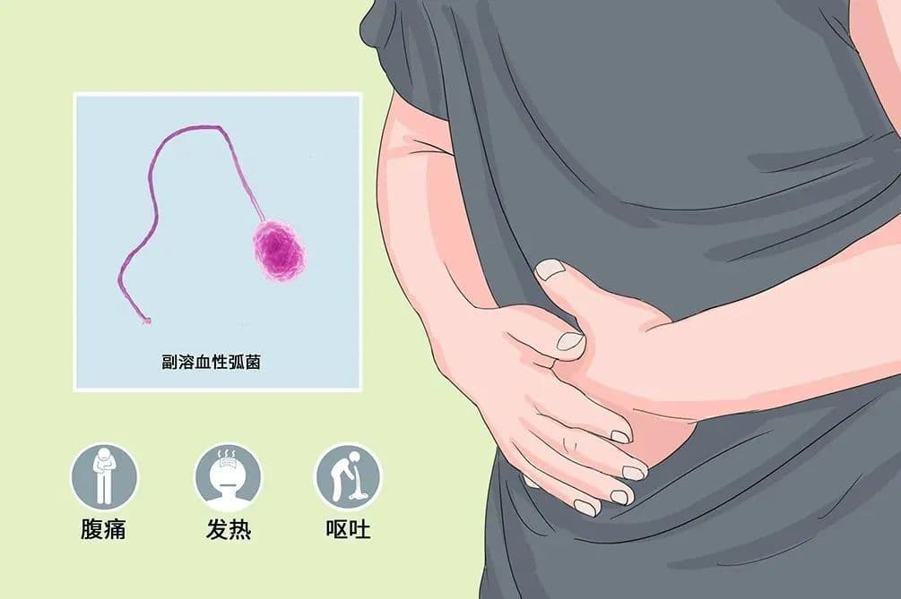 一顿海鲜染上致病菌？教你三招杀灭这个“头号细菌”