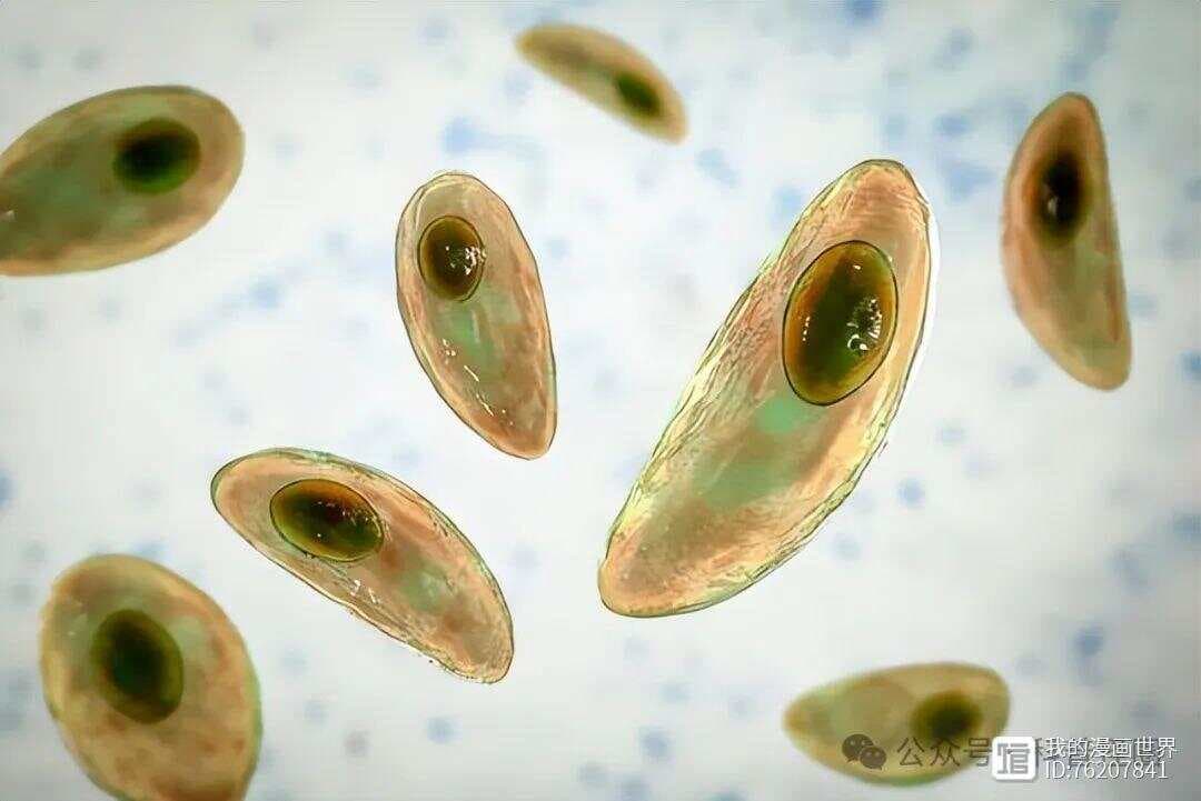 弓形虫：寄生虫界的“老大”，至少20亿人感染