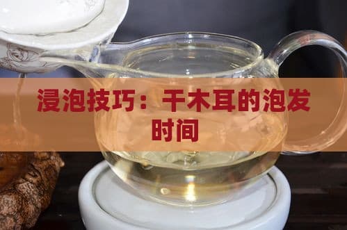 浸泡技巧：干木耳的泡发时间