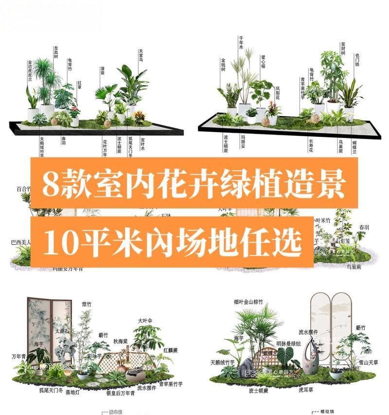 花卉绿植需要哪些生长环境？如何营造适宜的环境？