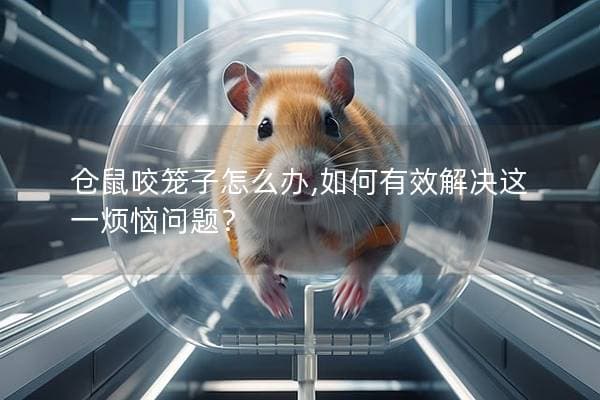 仓鼠咬笼子怎么办？5个实用解决方案帮你轻松应对