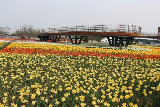 沭阳旅游攻略：六大景点带你领略水乡风情与历史文化