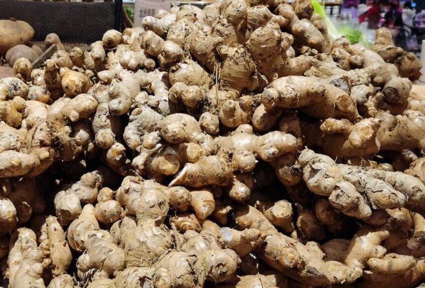 生姜去皮和不去皮功效有什么区别？生姜去皮如何保存？