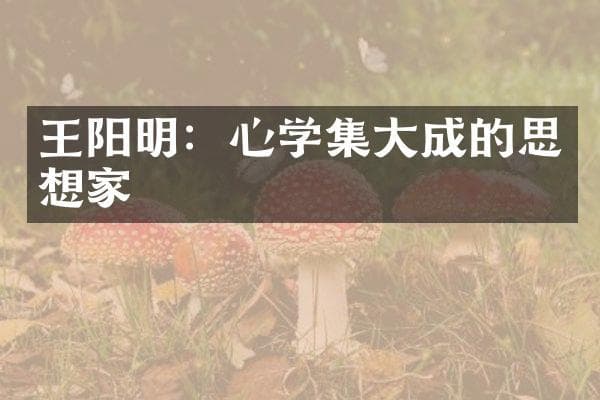 王阳明：心学集大成的思想家