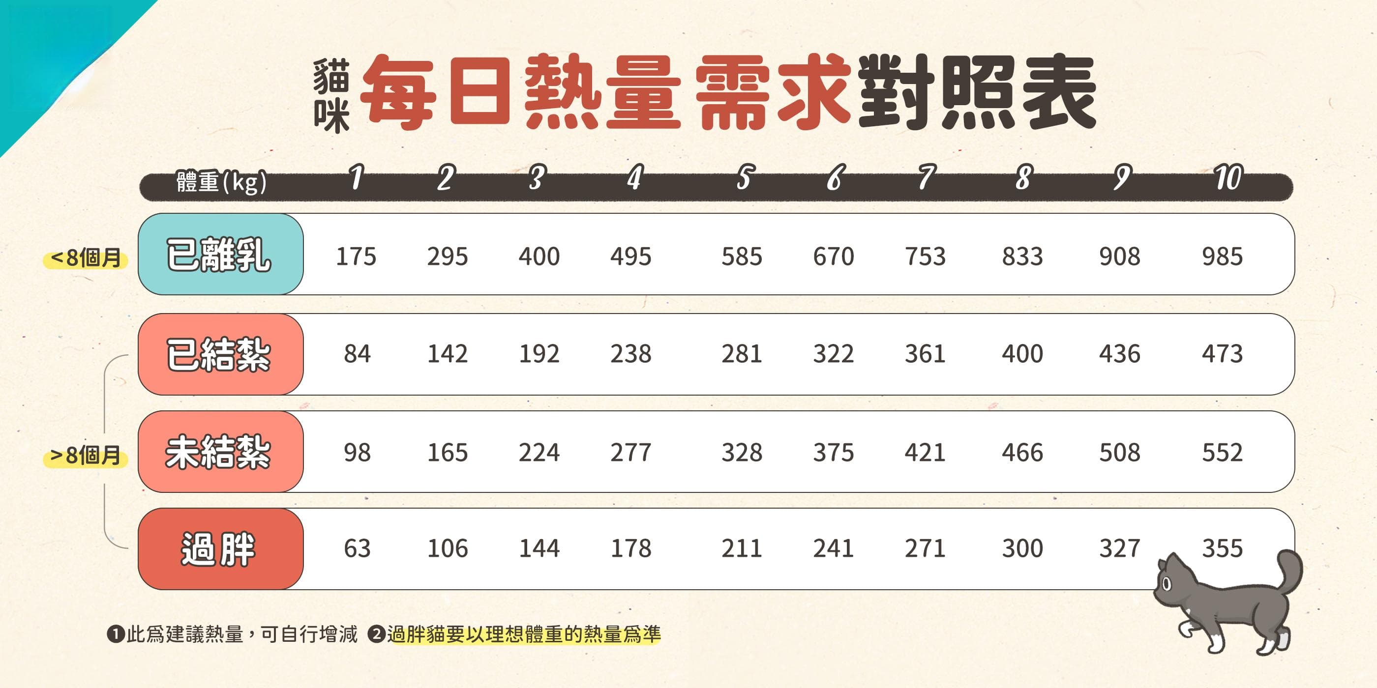 幼猫吃什麼？從離乳到 6 個月，5 階段餵食指南，幼貓罐頭飼料怎麼選一次看懂