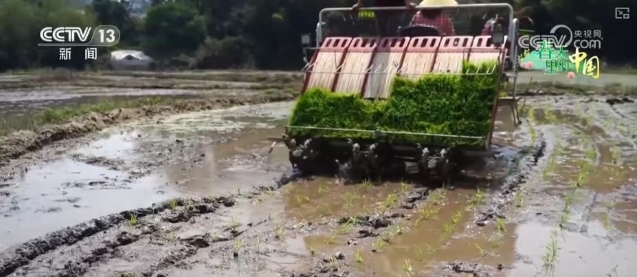 从传统粮食作物到特色经济作物 智慧农业生机勃勃“潮”有范儿