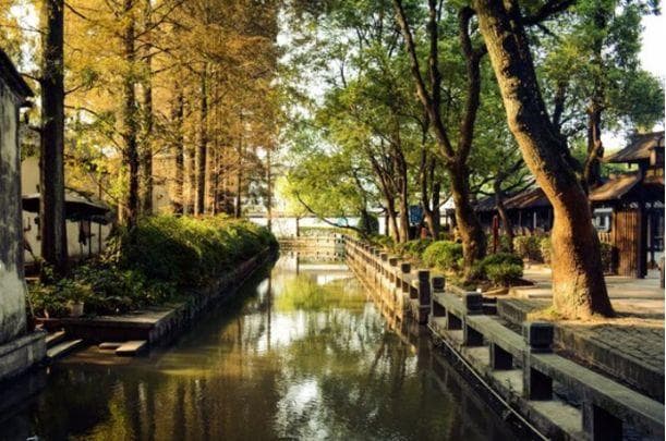 旅游：到江南水乡南浔旅游，品美食观美景！赶紧收藏！