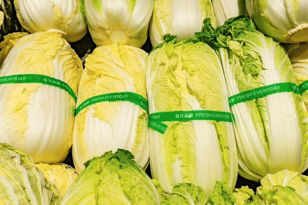 大白菜选购指南：黄色与绿色大白菜的区别及选购技巧