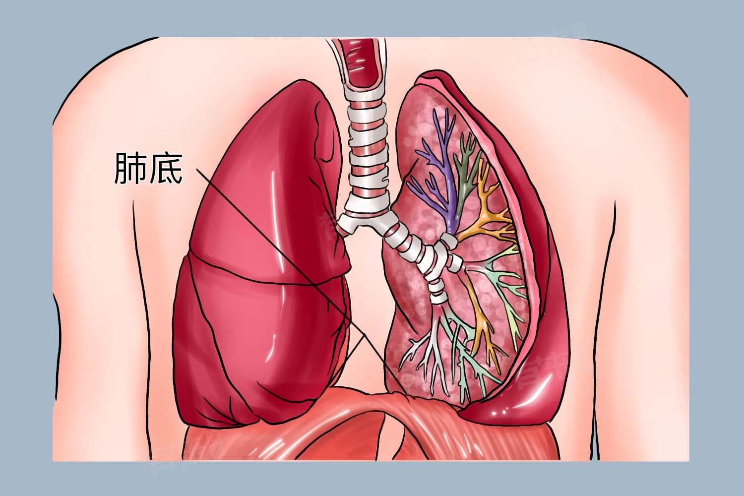 双肺下叶间质性改变是什么？原因、症状与治疗方法全解析