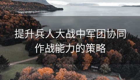 提升兵人大战中军团协同作战能力的策略