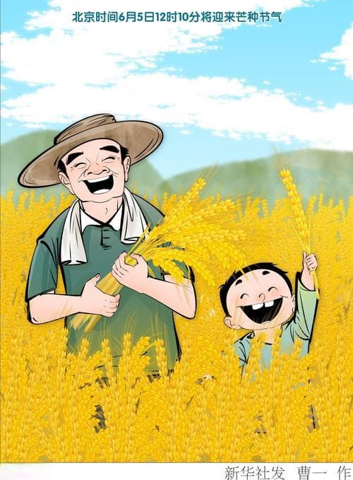 文化中国行·诗意节令｜芒种：风吹麦成浪　静待稻花香